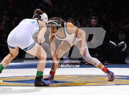 Thumbnail 1 in CIF State Girls Wrestling Championships (Finals) photogallery.