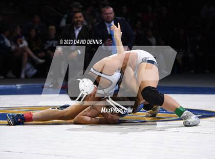 Thumbnail 2 in CIF State Girls Wrestling Championships (Finals) photogallery.