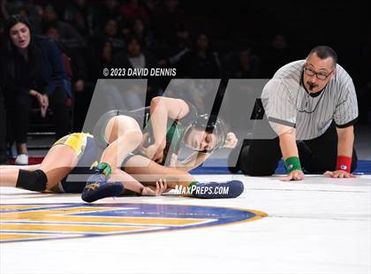 Thumbnail 3 in CIF State Girls Wrestling Championships (Finals) photogallery.
