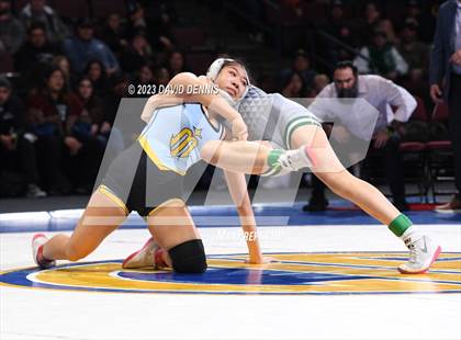 Thumbnail 3 in CIF State Girls Wrestling Championships (Finals) photogallery.
