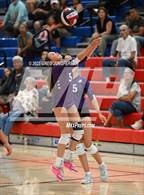 Photo from the gallery "Petaluma @ Rancho Cotate"