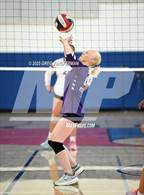 Photo from the gallery "Petaluma @ Rancho Cotate"