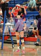 Photo from the gallery "Petaluma @ Rancho Cotate"