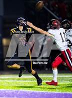 Photo from the gallery "Franklin @ Bellbrook"