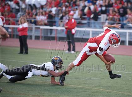 Thumbnail 1 in Terra Nova @ Burlingame photogallery.