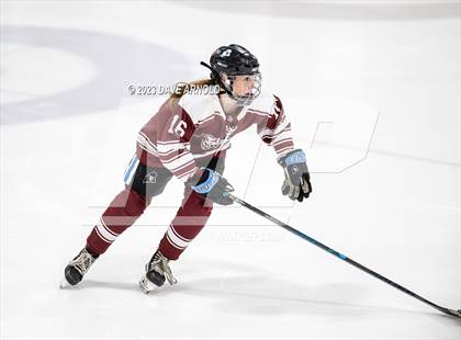 Thumbnail 1 in Gorham vs. Cheverus (MPA Regional Final) photogallery.