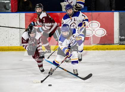 Thumbnail 1 in Gorham vs. Cheverus (MPA Regional Final) photogallery.
