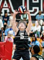 Photo from the gallery "Monterey Trail @ Laguna Creek"