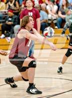 Photo from the gallery "Monterey Trail @ Laguna Creek"