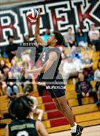 Photo from the gallery "Monterey Trail @ Laguna Creek"