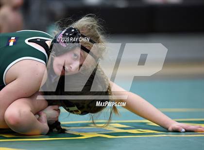 Thumbnail 3 in Alpha Female Tournament photogallery.