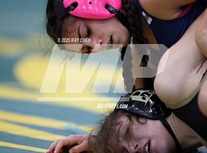 Thumbnail 3 in Alpha Female Tournament photogallery.