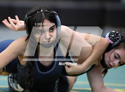 Thumbnail 2 in Alpha Female Tournament photogallery.