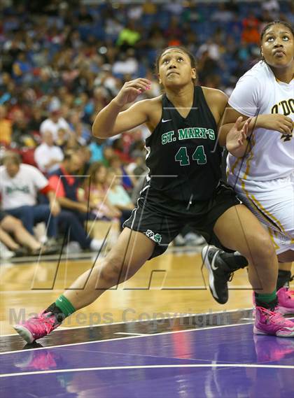 Thumbnail 2 in St. Mary's vs. Bishop O'Dowd (CIF NorCal Regional Open Division Final) photogallery.