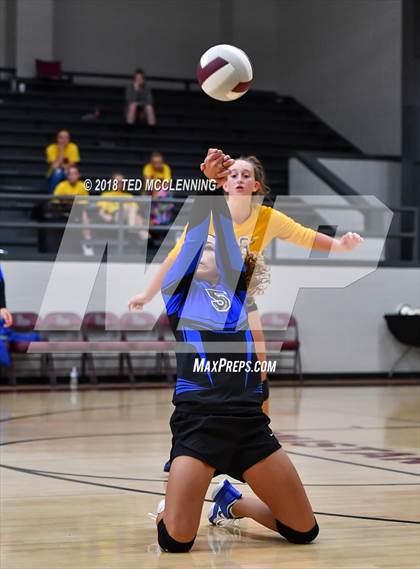 Thumbnail 2 in Bergman vs Harmony Grove photogallery.