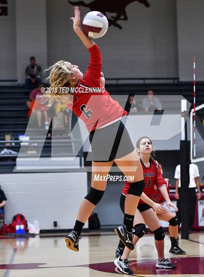 Thumbnail 3 in Bergman vs Harmony Grove photogallery.