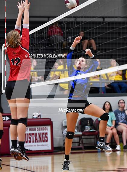 Thumbnail 3 in Bergman vs Harmony Grove photogallery.
