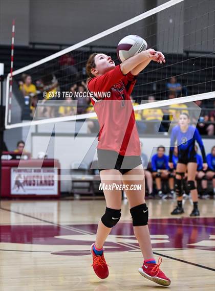 Thumbnail 1 in Bergman vs Harmony Grove photogallery.
