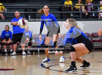 Thumbnail 3 in Bergman vs Harmony Grove photogallery.