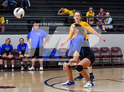 Thumbnail 2 in Bergman vs Harmony Grove photogallery.