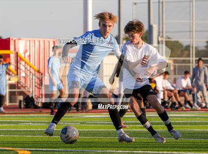 Thumbnail 2 in Cactus vs. Verrado photogallery.