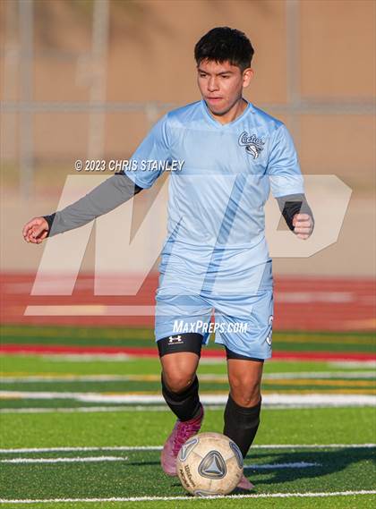 Thumbnail 3 in Cactus vs. Verrado photogallery.