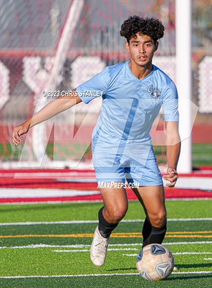 Thumbnail 1 in Cactus vs. Verrado photogallery.