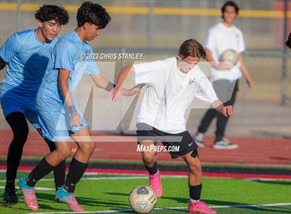 Thumbnail 1 in Cactus vs. Verrado photogallery.