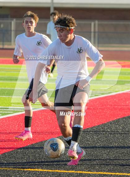 Thumbnail 1 in Cactus vs. Verrado photogallery.