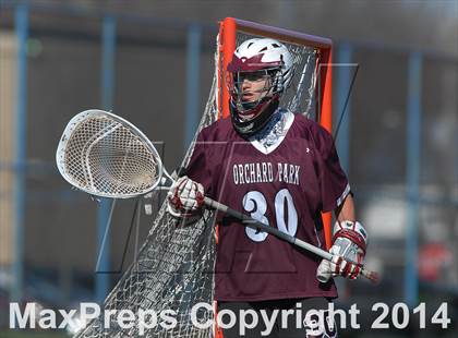 Thumbnail 3 in Orchard Park @ Lockport photogallery.