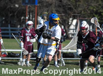 Thumbnail 1 in Orchard Park @ Lockport photogallery.