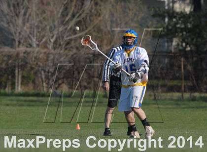 Thumbnail 3 in Orchard Park @ Lockport photogallery.