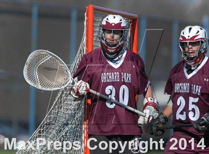 Thumbnail 1 in Orchard Park @ Lockport photogallery.