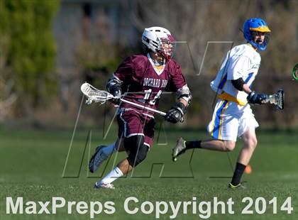 Thumbnail 1 in Orchard Park @ Lockport photogallery.