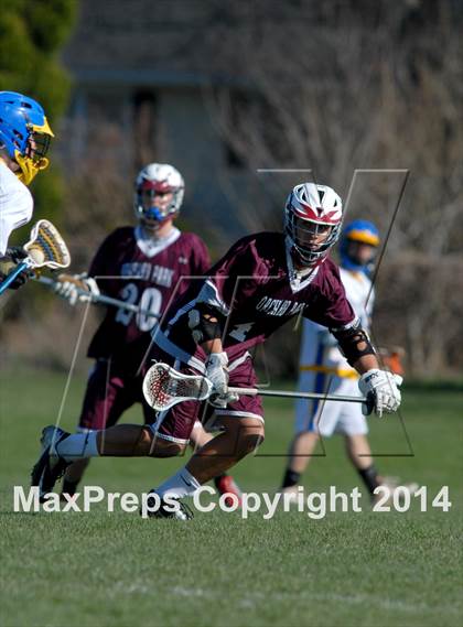 Thumbnail 1 in Orchard Park @ Lockport photogallery.