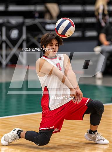 null - Photo 01