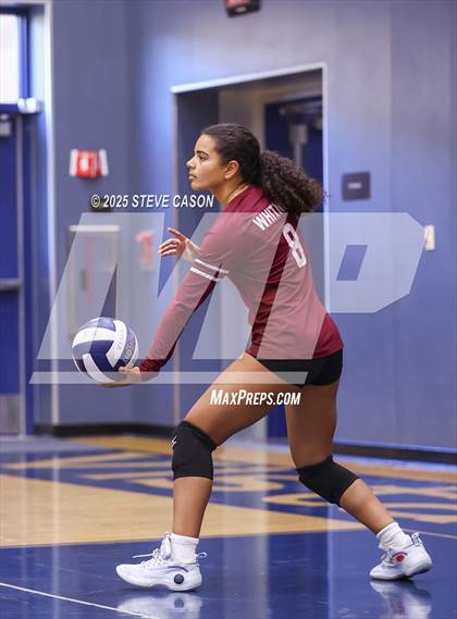Thumbnail 2 in Whitney @ Vista Del Lago photogallery.