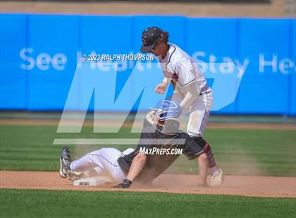 Thumbnail 3 in Colusa vs. Mt. Shasta (@ Sutter health Park) photogallery.