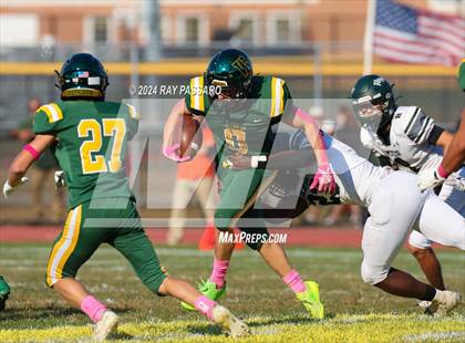 Thumbnail 1 in William Floyd @ Ward Melville photogallery.