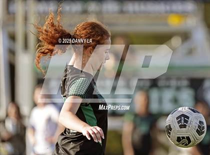 Thumbnail 1 in Flint Hill @ Washington Latin Public Charter School photogallery.