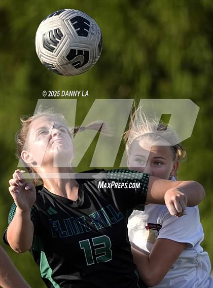 Thumbnail 2 in Flint Hill @ Washington Latin Public Charter School photogallery.