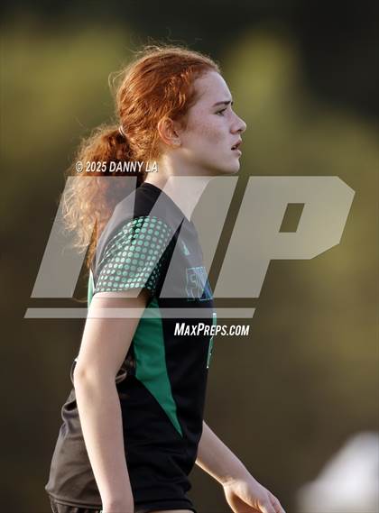 Thumbnail 2 in Flint Hill @ Washington Latin Public Charter School photogallery.