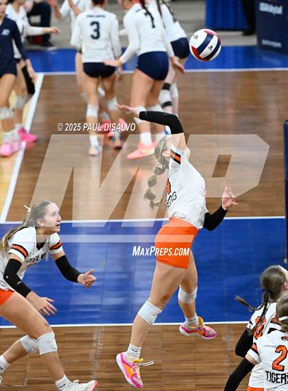 Thumbnail 2 in Sterling vs. Centauri (CHSAA 3A 2nd Round) photogallery.