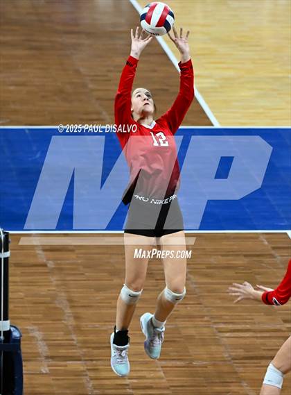 Thumbnail 1 in Sterling vs. Centauri (CHSAA 3A 2nd Round) photogallery.