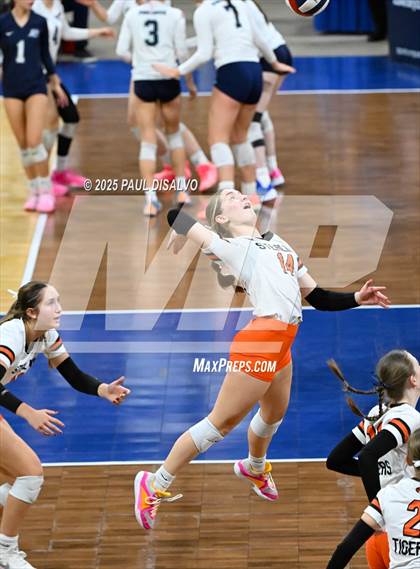 Thumbnail 1 in Sterling vs. Centauri (CHSAA 3A 2nd Round) photogallery.