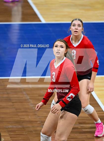 Thumbnail 1 in Sterling vs. Centauri (CHSAA 3A 2nd Round) photogallery.