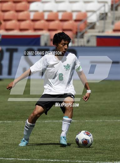 null - Photo 01