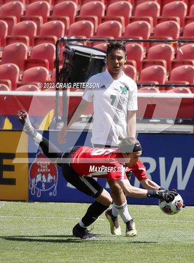 null - Photo 11