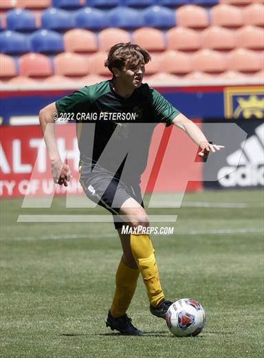 null - Photo 11
