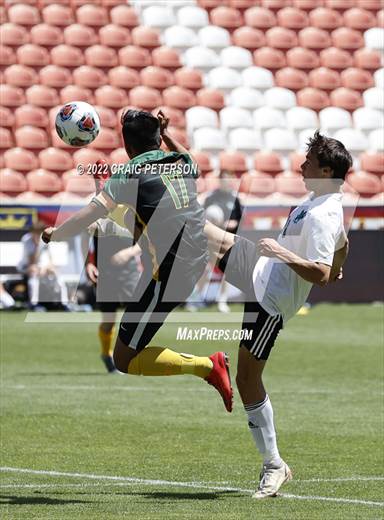 null - Photo 11